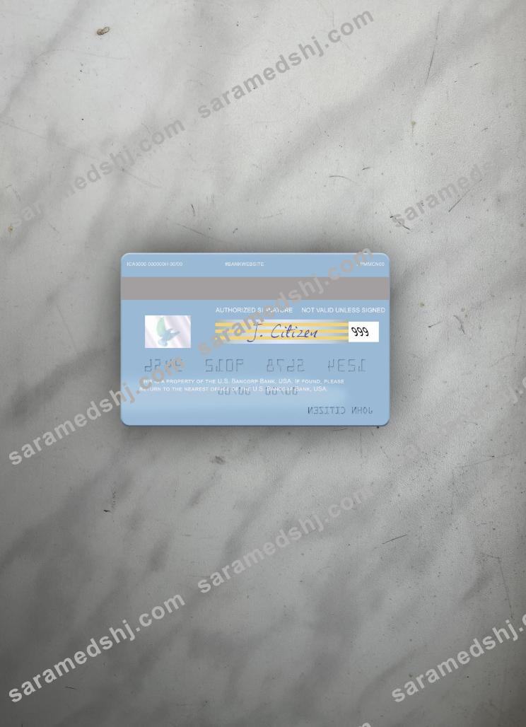 USA U.S. Bancorp Bank visa card photolook back